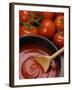 Home-Made Tomato Sauce in Pan and Fresh Tomatoes-Gustavo Andrade-Framed Photographic Print