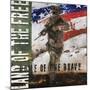 Home of the Brave-Jason Bullard-Mounted Giclee Print