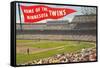 Home of the Minnesota Twins-null-Framed Stretched Canvas