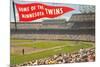 Home of the Minnesota Twins-null-Mounted Premium Giclee Print