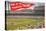 Home of the Minnesota Twins-null-Stretched Canvas