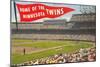 Home of the Minnesota Twins-null-Mounted Art Print