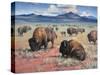 Home on the Range-Jack Sorenson-Stretched Canvas