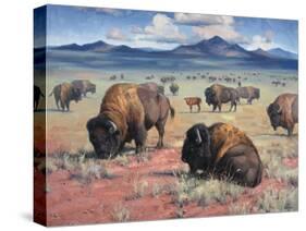 Home on the Range-Jack Sorenson-Stretched Canvas