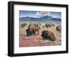 Home on the Range-Jack Sorenson-Framed Art Print