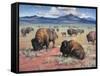 Home on the Range-Jack Sorenson-Framed Stretched Canvas