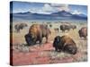 Home on the Range-Jack Sorenson-Stretched Canvas