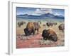 Home on the Range-Jack Sorenson-Framed Art Print