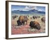 Home on the Range-Jack Sorenson-Framed Art Print