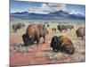 Home on the Range-Jack Sorenson-Mounted Art Print