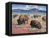 Home on the Range-Jack Sorenson-Framed Stretched Canvas