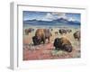 Home on the Range-Jack Sorenson-Framed Art Print