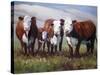 Home on the Range-Carolyne Hawley-Stretched Canvas