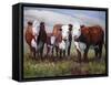 Home on the Range-Carolyne Hawley-Framed Stretched Canvas