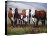 Home on the Range-Carolyne Hawley-Stretched Canvas