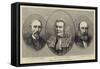 Home Rule Members of Parliament-null-Framed Stretched Canvas