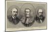 Home Rule Members of Parliament-null-Mounted Giclee Print