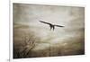 Home Safely Bald Eagle-Jai Johnson-Framed Giclee Print