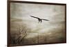 Home Safely Bald Eagle-Jai Johnson-Framed Giclee Print