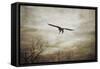 Home Safely Bald Eagle-Jai Johnson-Framed Stretched Canvas