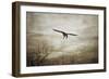 Home Safely Bald Eagle-Jai Johnson-Framed Giclee Print