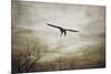 Home Safely Bald Eagle-Jai Johnson-Mounted Giclee Print