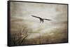 Home Safely Bald Eagle-Jai Johnson-Framed Stretched Canvas