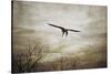 Home Safely Bald Eagle-Jai Johnson-Stretched Canvas