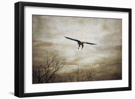 Home Safely Bald Eagle-Jai Johnson-Framed Premium Giclee Print