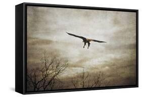Home Safely Bald Eagle-Jai Johnson-Framed Stretched Canvas