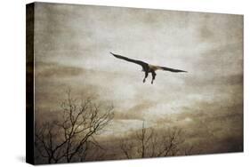Home Safely Bald Eagle-Jai Johnson-Stretched Canvas