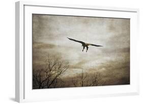 Home Safely Bald Eagle-Jai Johnson-Framed Giclee Print