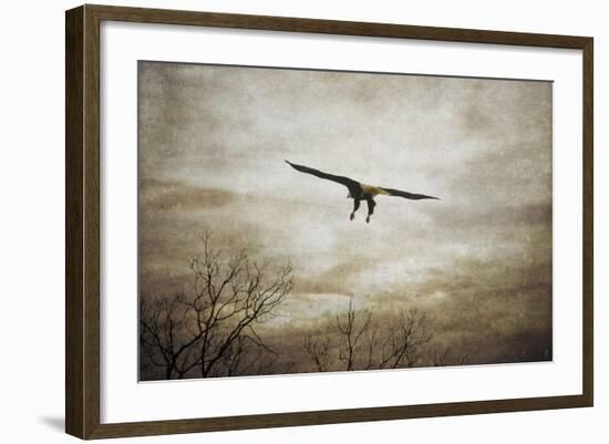 Home Safely Bald Eagle-Jai Johnson-Framed Giclee Print