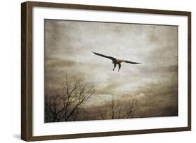 Home Safely Bald Eagle-Jai Johnson-Framed Giclee Print