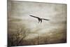 Home Safely Bald Eagle-Jai Johnson-Mounted Giclee Print