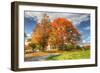 Home Sweet Home-Robert Goldwitz-Framed Photographic Print