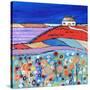 Home Sweet Home-Caroline Duncan-Stretched Canvas