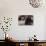 Home Town-Petr Strnad-Mounted Photographic Print displayed on a wall