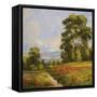 Home Trail Flowers-Hannah Paulsen-Framed Stretched Canvas