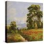 Home Trail Flowers-Hannah Paulsen-Stretched Canvas