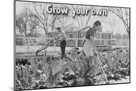 Homegrown Food Is Homegrown Wealth.-Dorothea Lange-Mounted Art Print