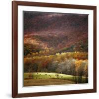 Homeland-Bill Coleman-Framed Giclee Print