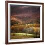 Homeland-Bill Coleman-Framed Giclee Print