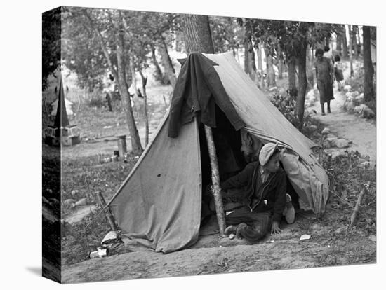 Homeless Boy, 1937-Russell Lee-Stretched Canvas