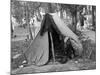 Homeless Boy, 1937-Russell Lee-Mounted Photographic Print