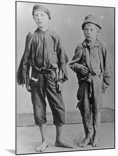 Homeless Boys in New York City-Jacob August Riis-Mounted Photographic Print