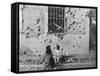 Homeless Children, Barcelona, Catalonia, Spain, Spanish Civil War, C1936-C1939-null-Framed Stretched Canvas