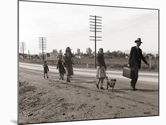 Homeless Migrant Family of Seven, Walking the Highway from Phoenix, Arizona, 1939-Dorothea Lange-Mounted Art Print