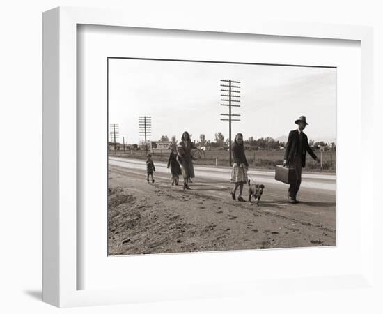 Homeless Migrant Family of Seven, Walking the Highway from Phoenix, Arizona, 1939-Dorothea Lange-Framed Art Print