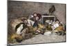 Homeless Street Boys Sleeping in an Alley in New York City, 1890s-null-Mounted Giclee Print